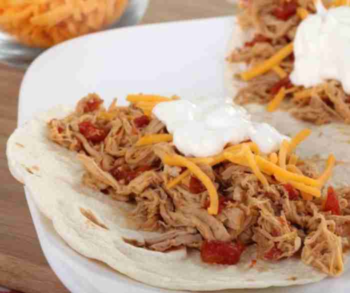 Shredded pork tacos
